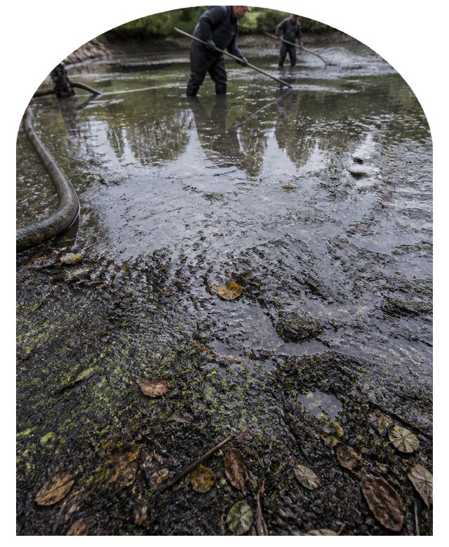 Очистка пруда в Чапаевске от ила мусора и водорослей с вывозом